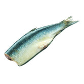 Fischkadaver aus Ostseehering ca. 140g